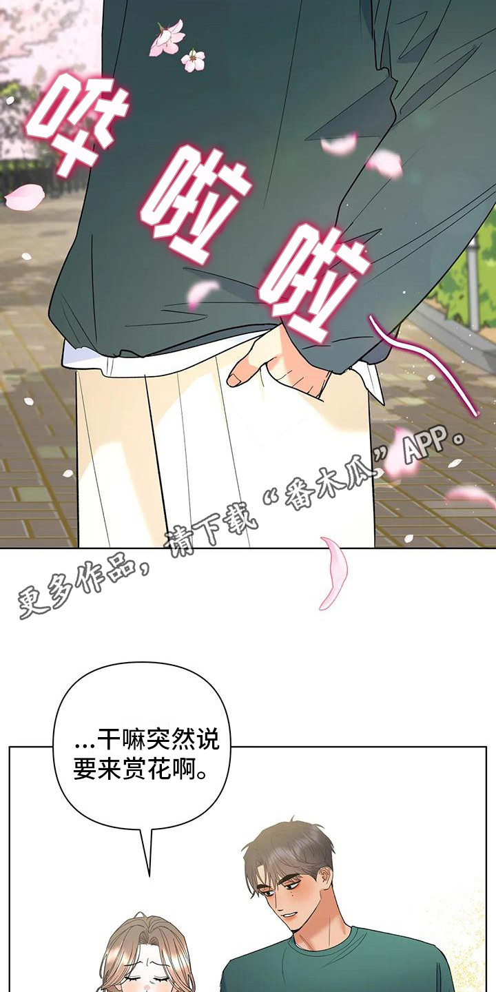 第11章：赏花4