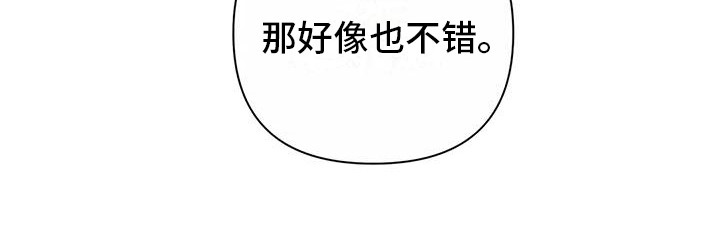 第13章：烟花15