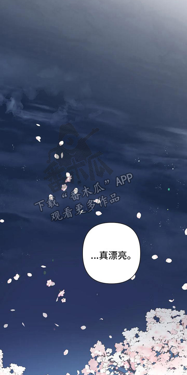 第13章：烟花1