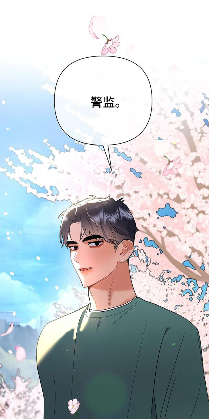 第11章：赏花3