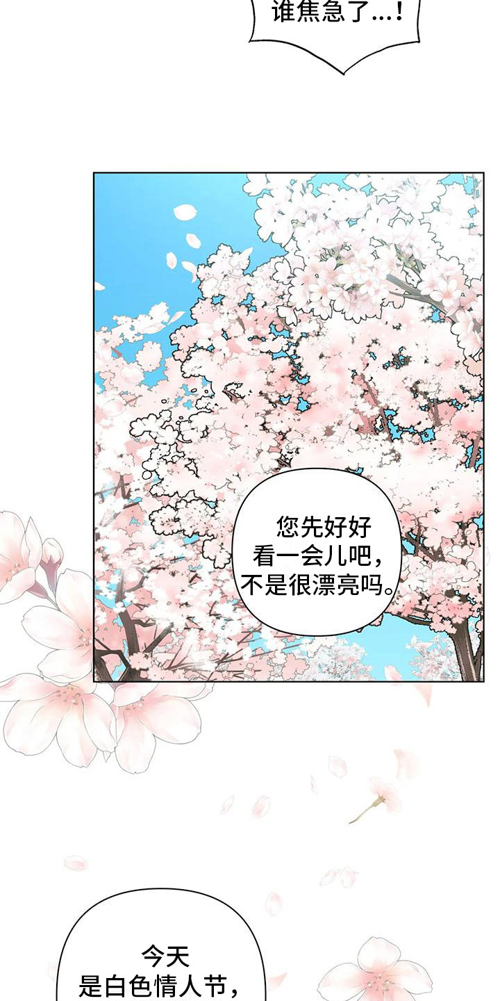第11章：赏花15