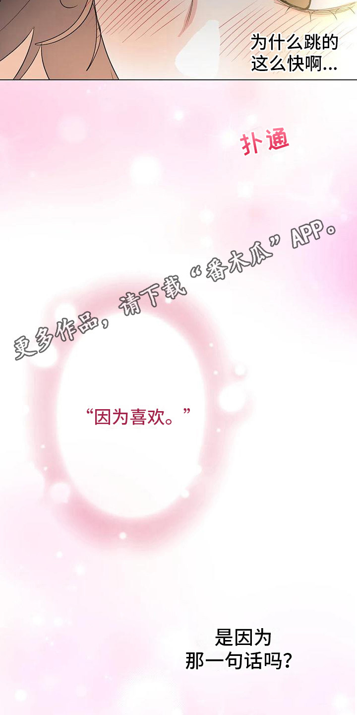 第15章：表白10