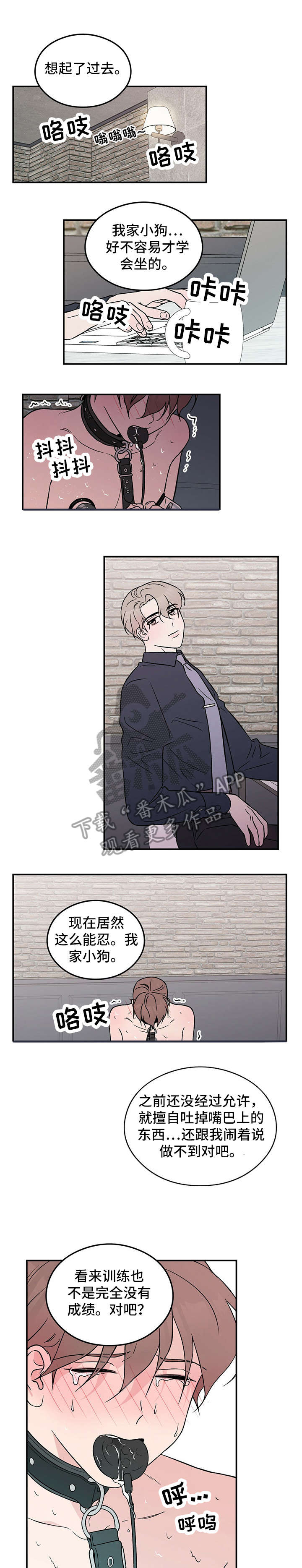 第28章：烦3