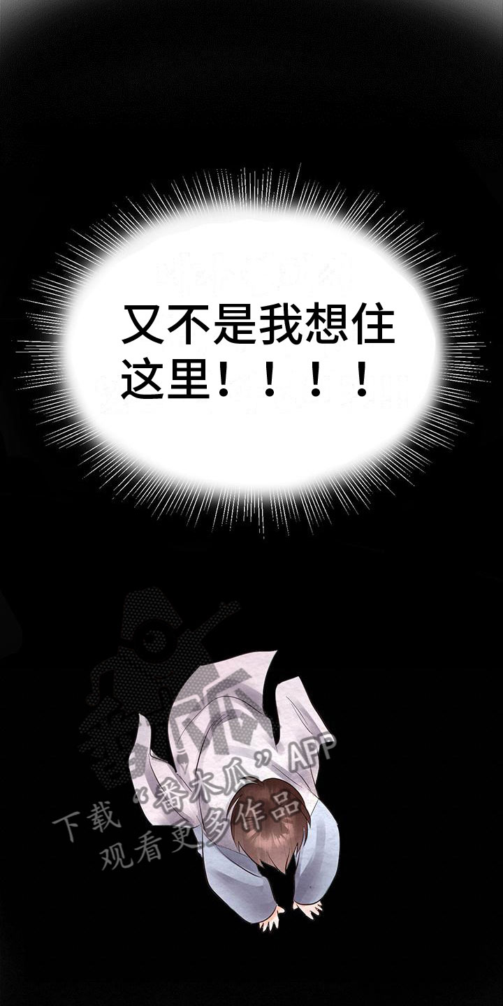 第20章：服从26