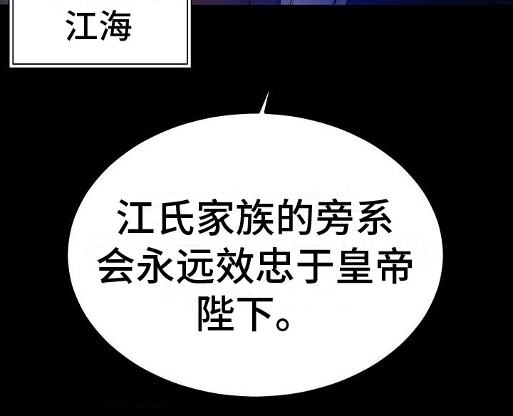 第1章：命运之夜13