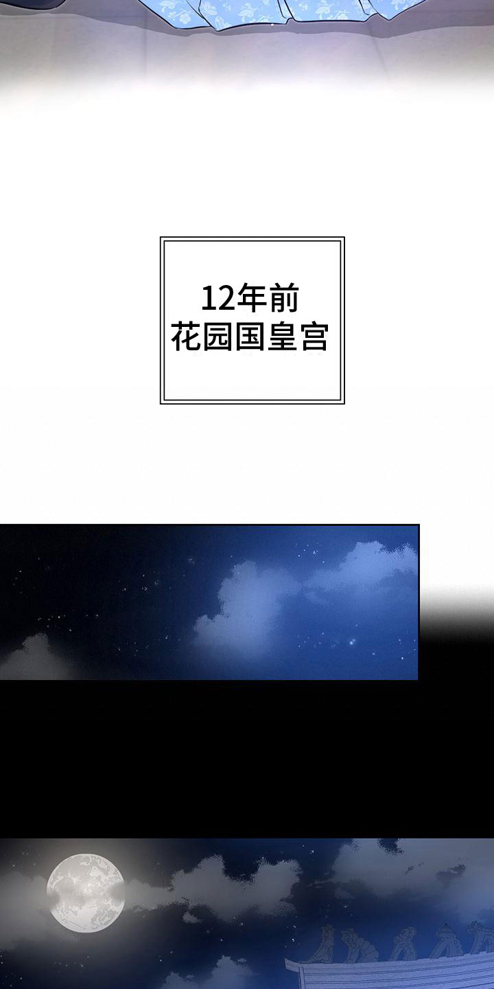 第1章：命运之夜6
