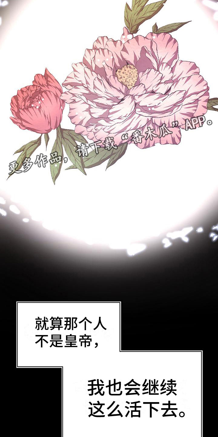 第20章：服从37