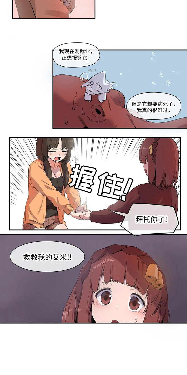 第3章：宠物8
