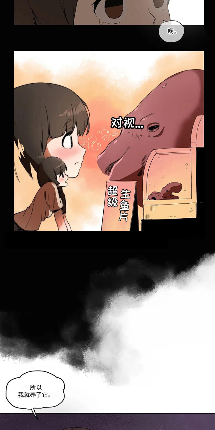 第3章：宠物6