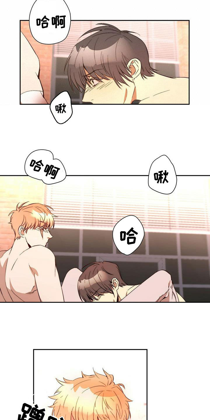 第17章：晕倒12