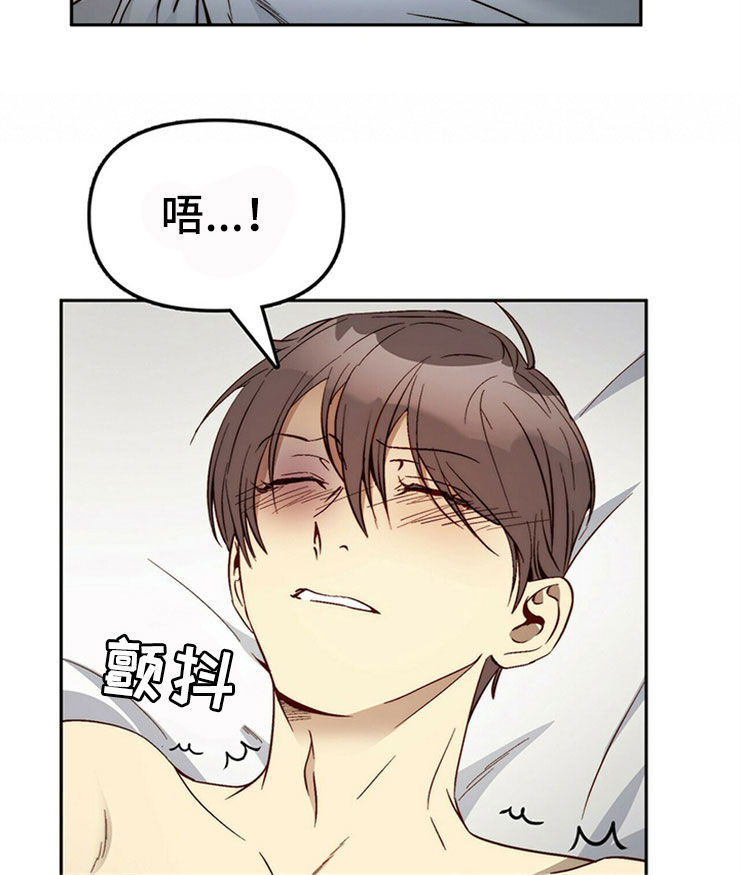 第29章：够了5