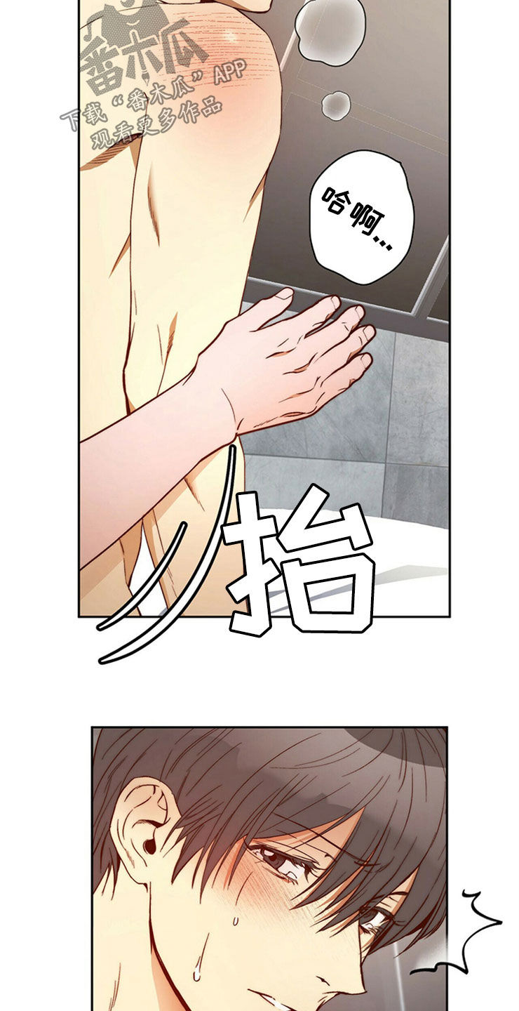 第29章：够了18