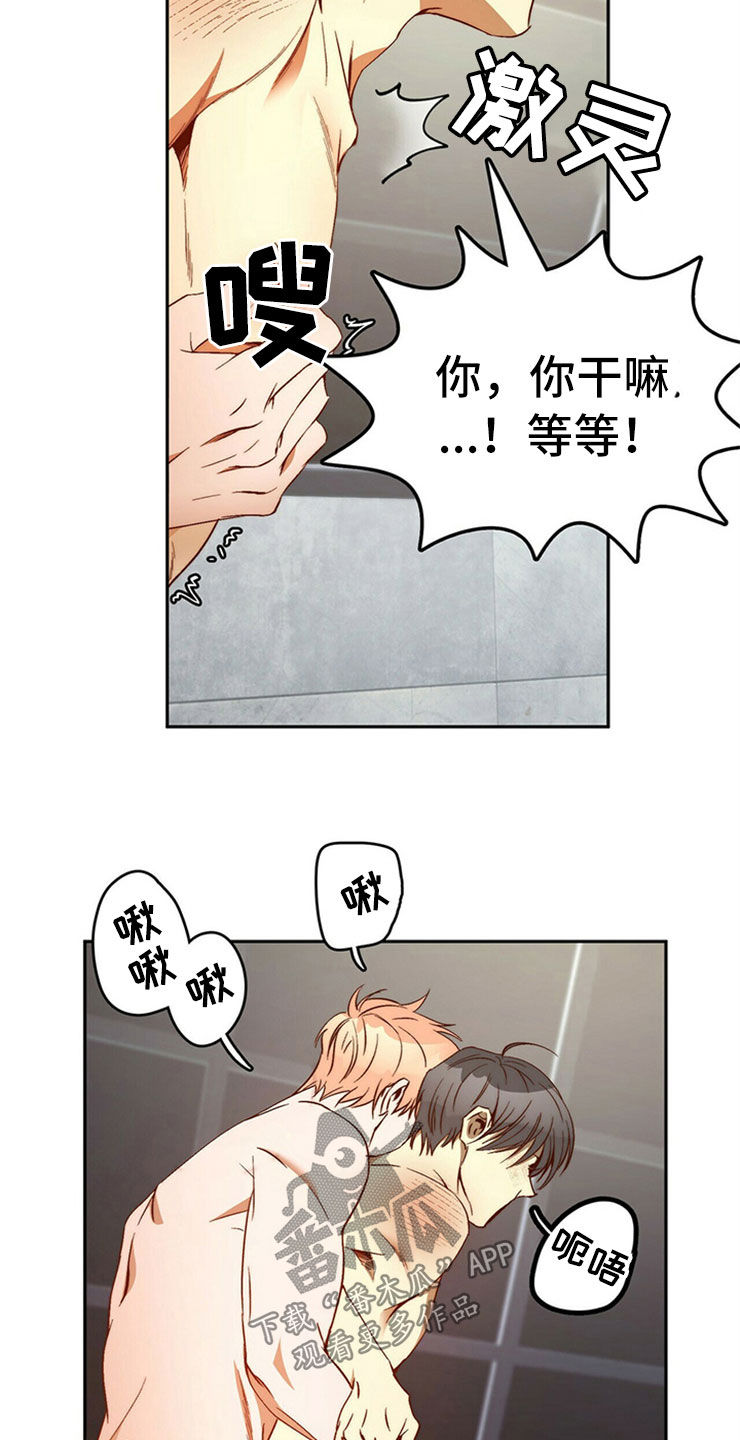 第29章：够了20