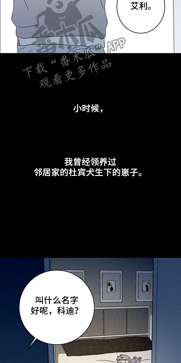 第71章：【第二季】没有能力守护5