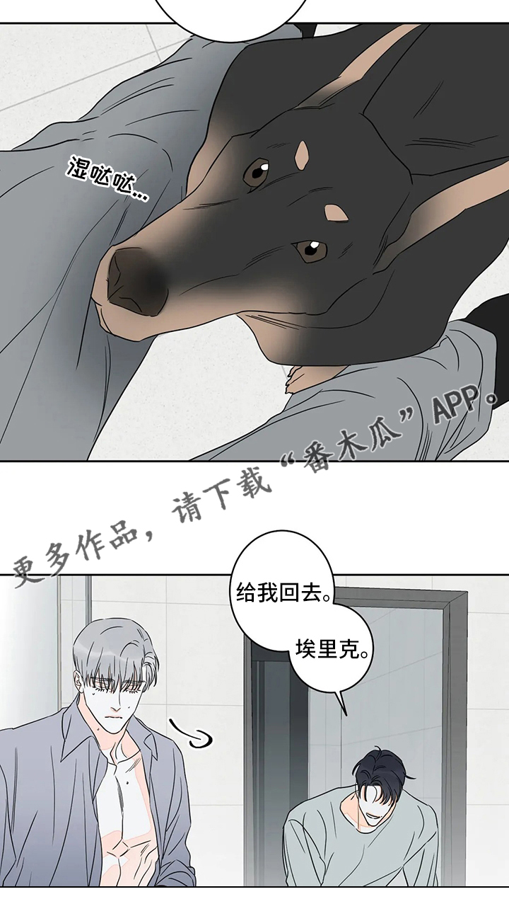 第55章：【第二季】火上浇油13
