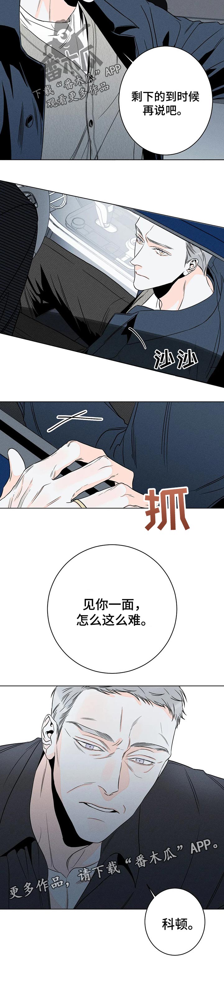 第28章：华丽的空壳8