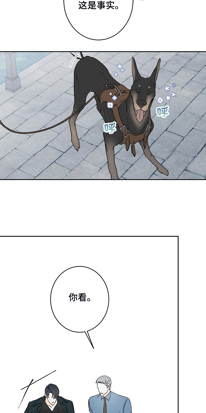 第66章：【第二季】这是事实17