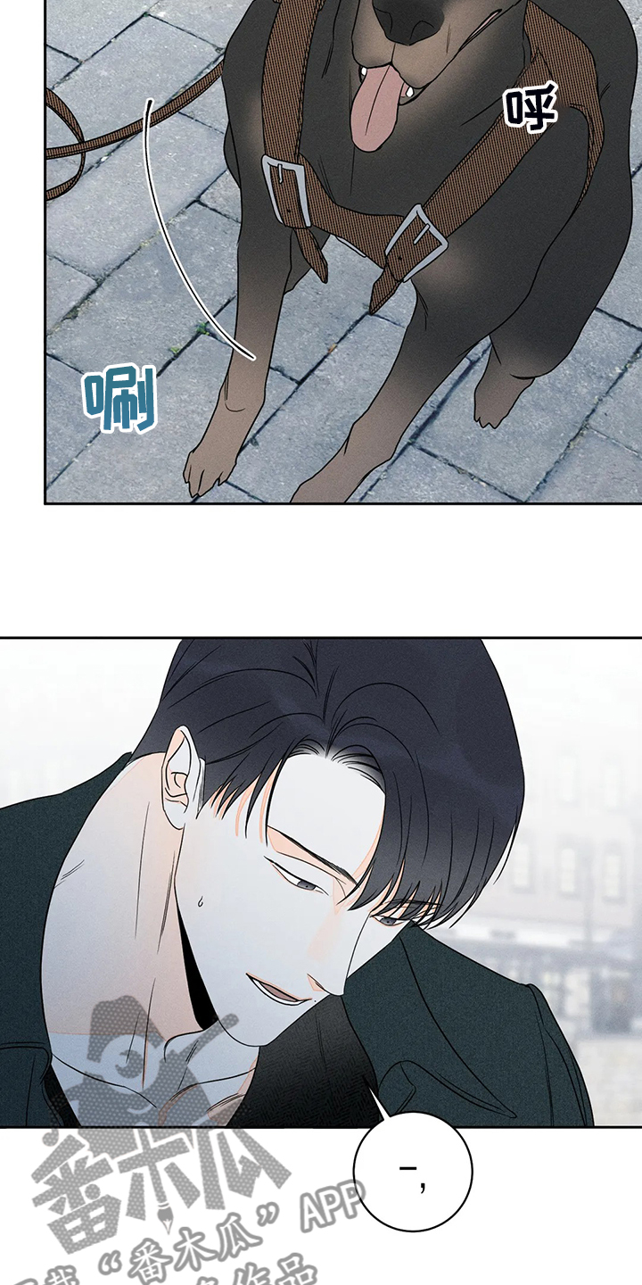 第66章：【第二季】这是事实20