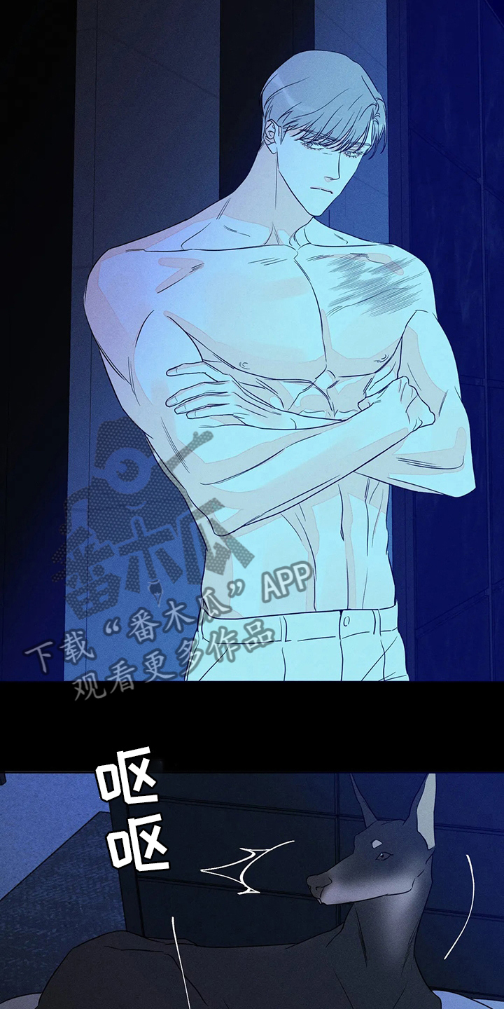第54章：【第二季】负责10
