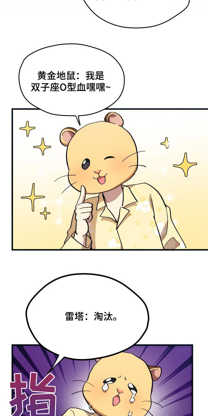第31章：选择5