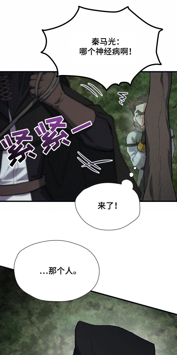 第29章：神秘刺客16