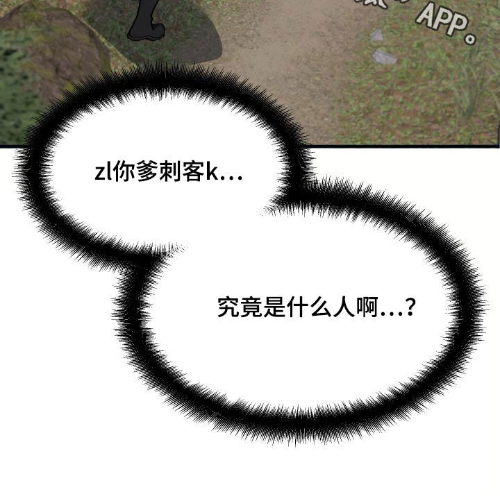 第29章：神秘刺客26