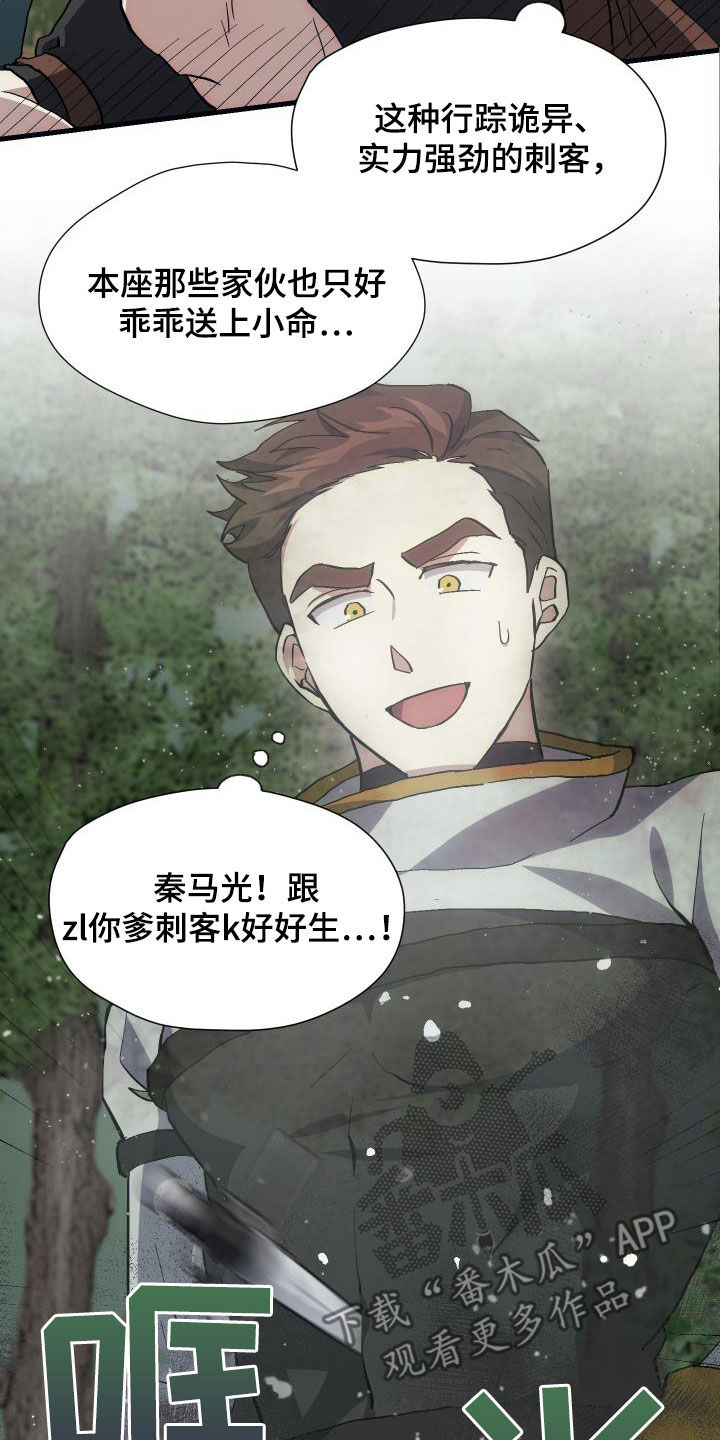 第29章：神秘刺客21