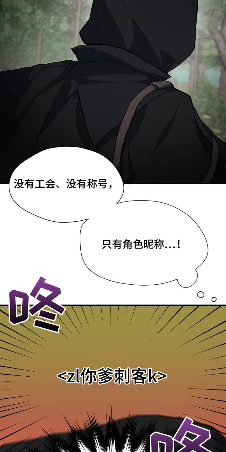 第29章：神秘刺客17