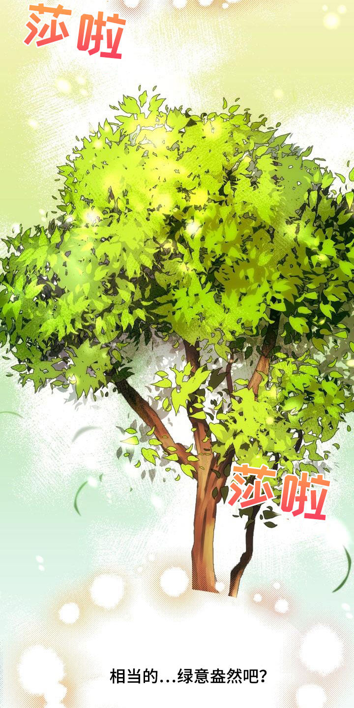 第25章：最终攻击1