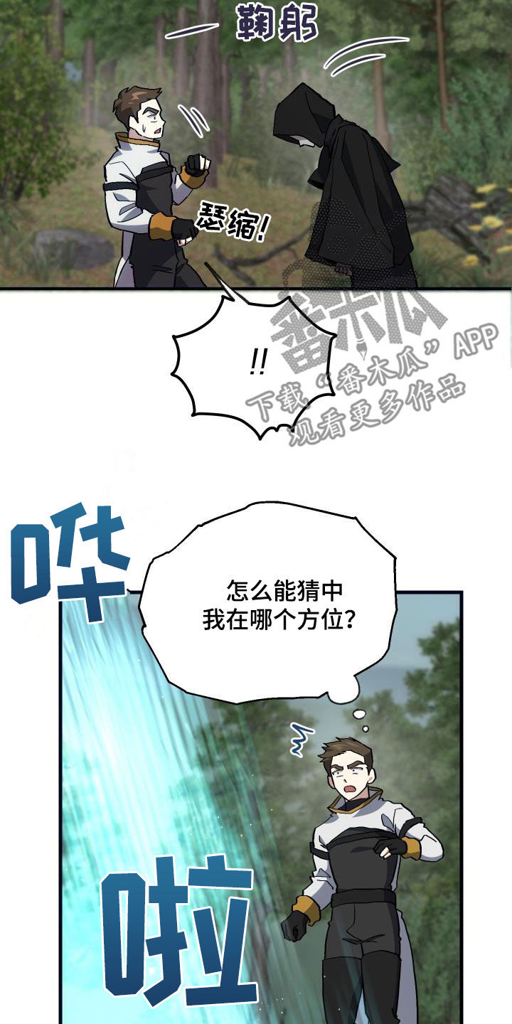 第29章：神秘刺客24