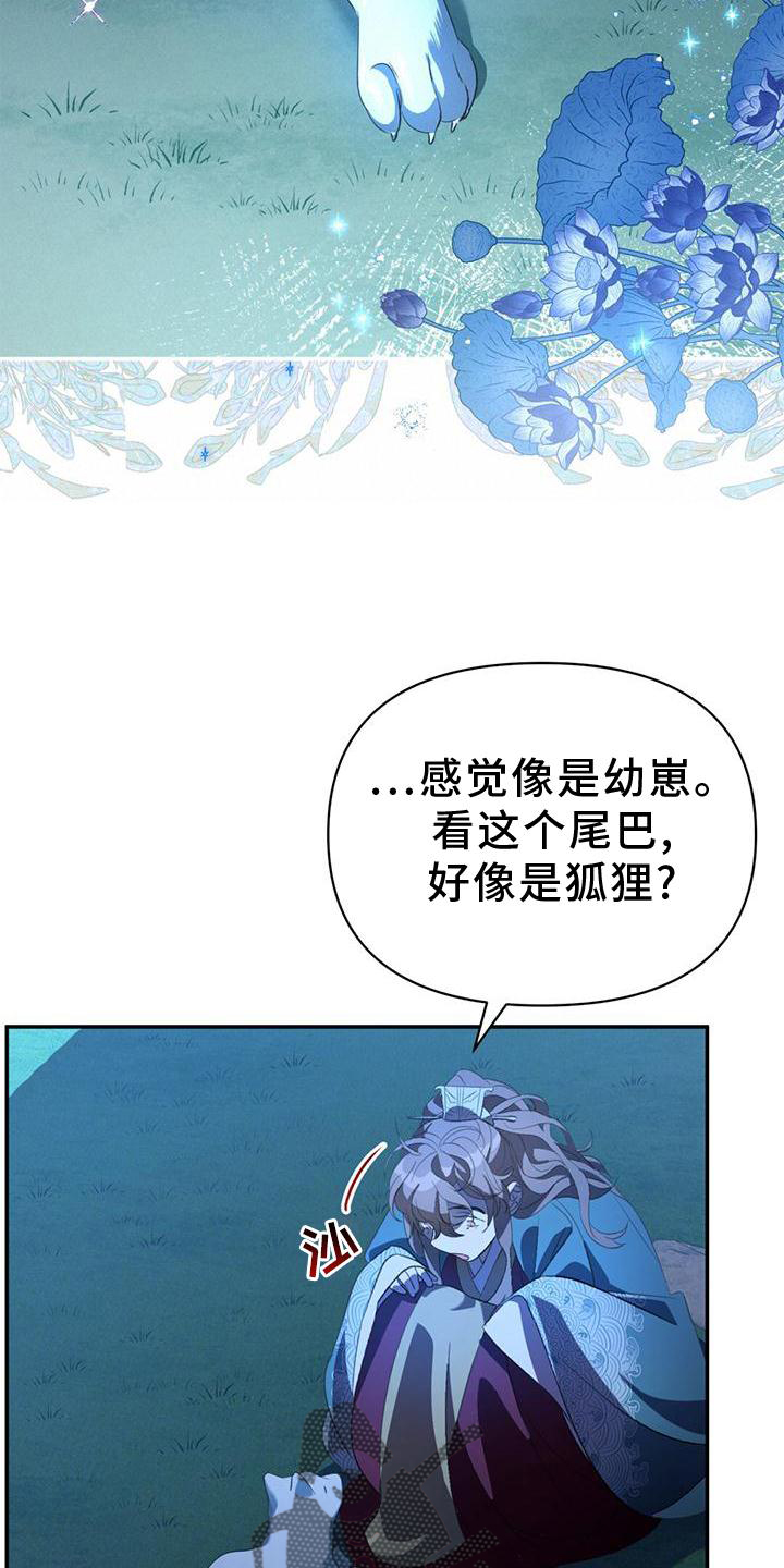 第37章：受伤15