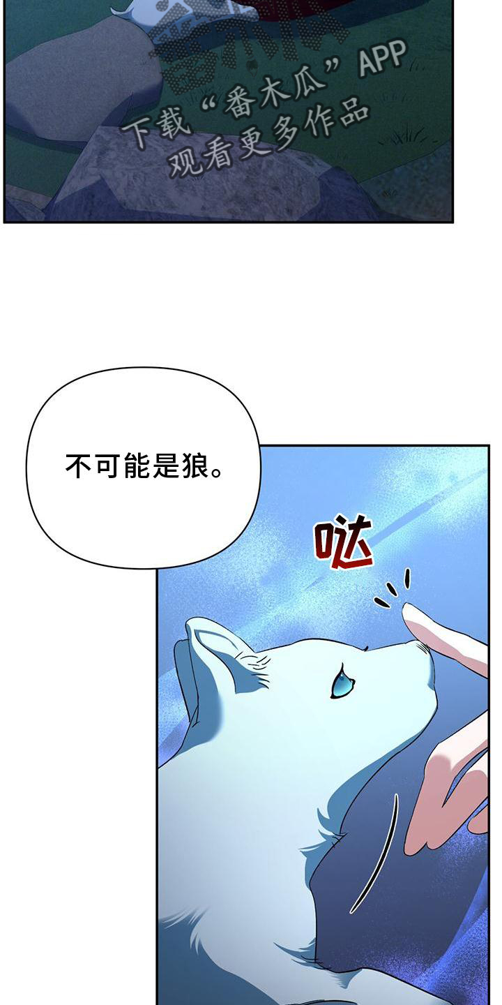 第37章：受伤16