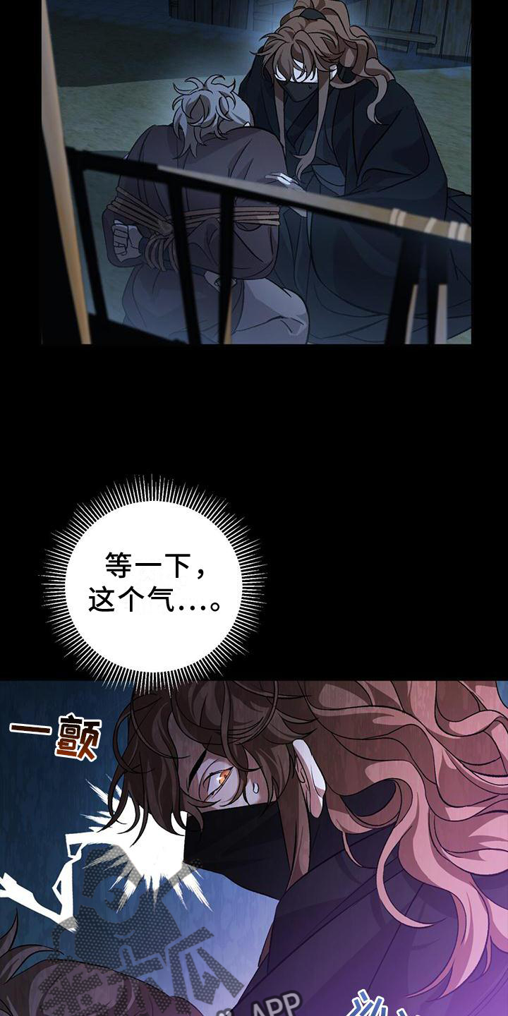第32章：偷袭17