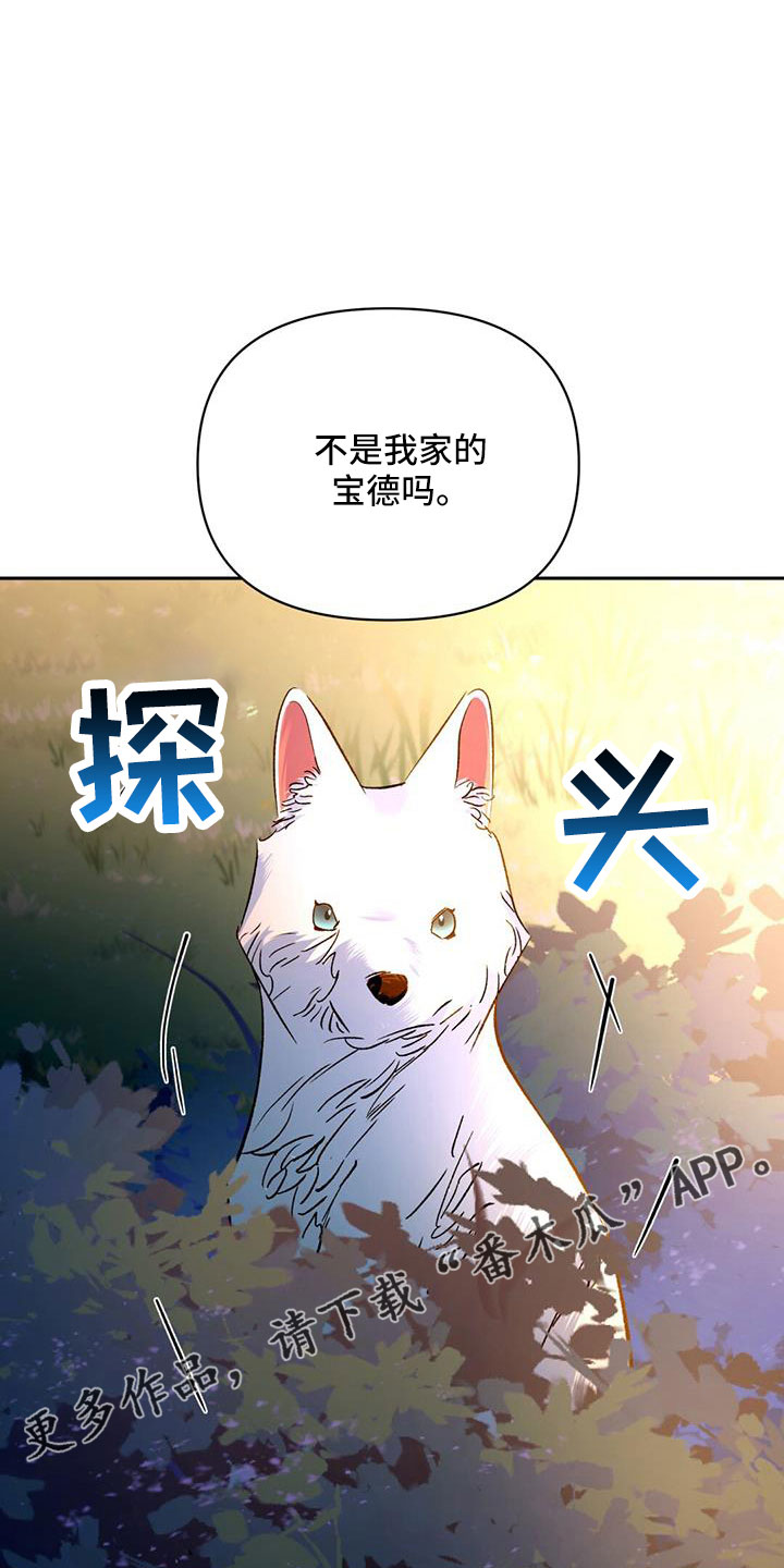 第82章：自作自受34