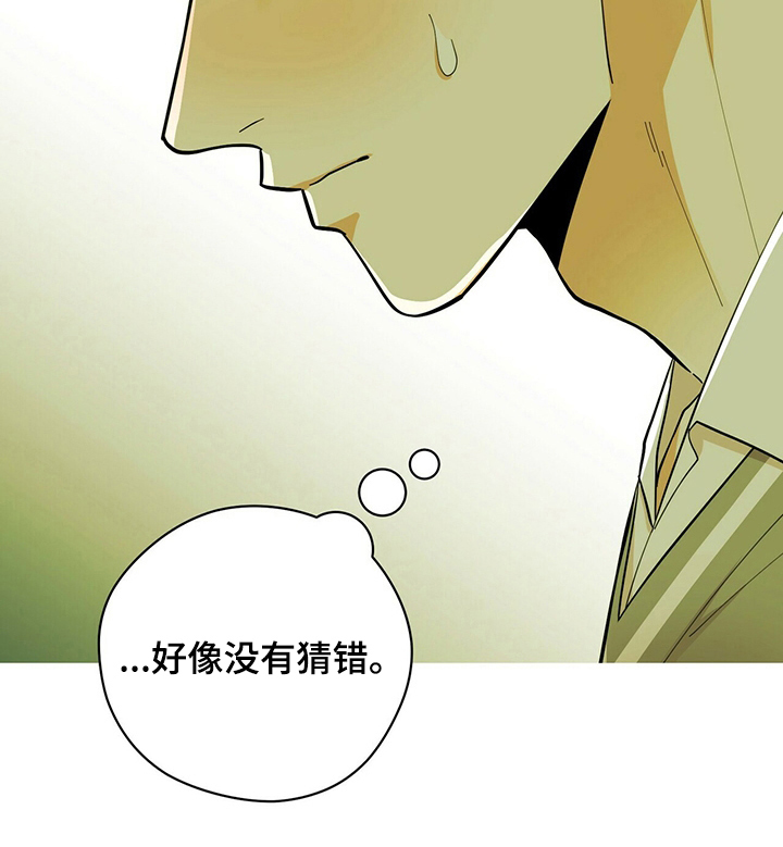 第41章：没猜错17