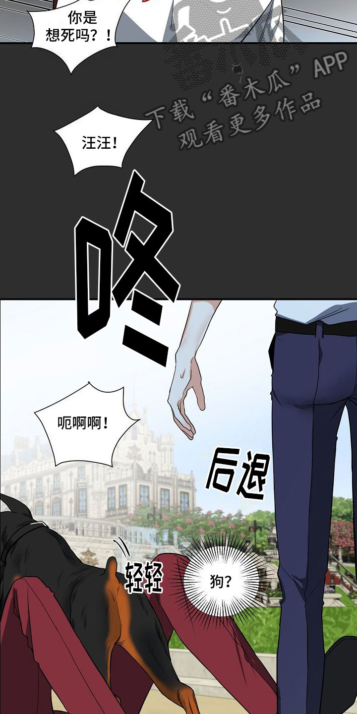 第5章：被找茬24