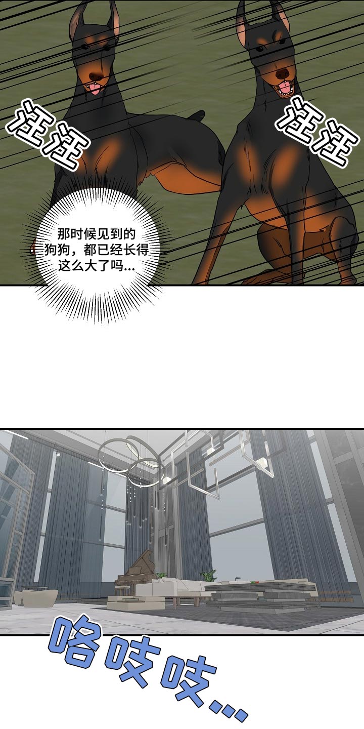 第17章：我不能放你走28