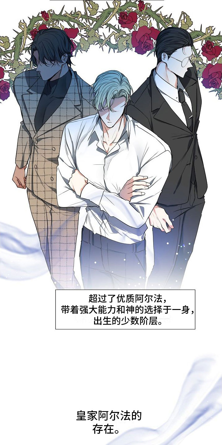 第1章：离婚11