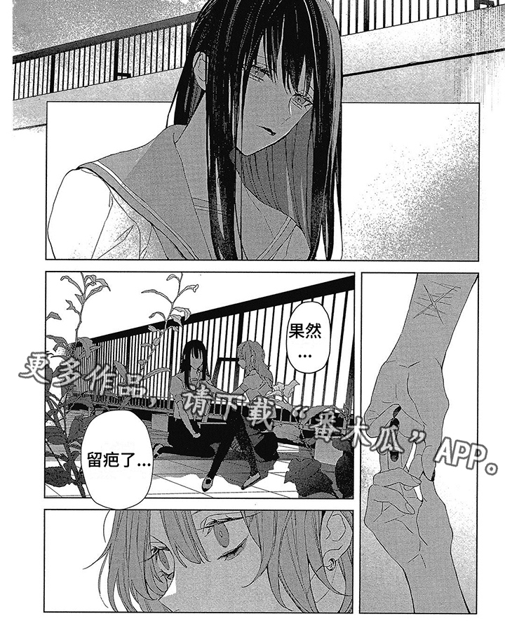 第44章：相似5
