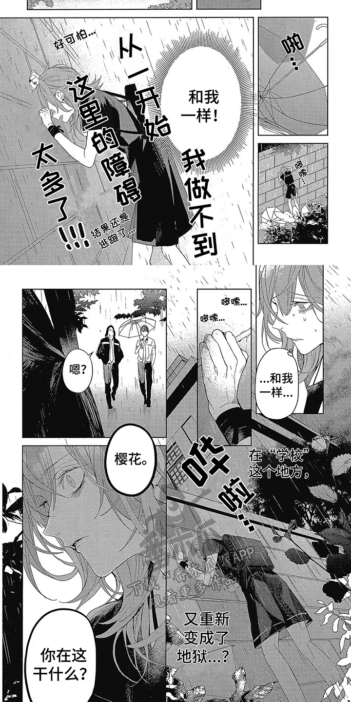 第19章：弱小1