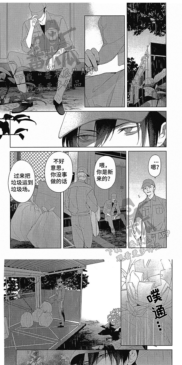 第50章：有喜欢的人0