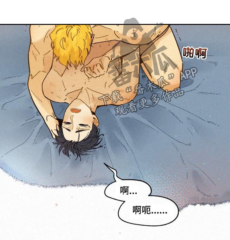 第53章：不会担心5