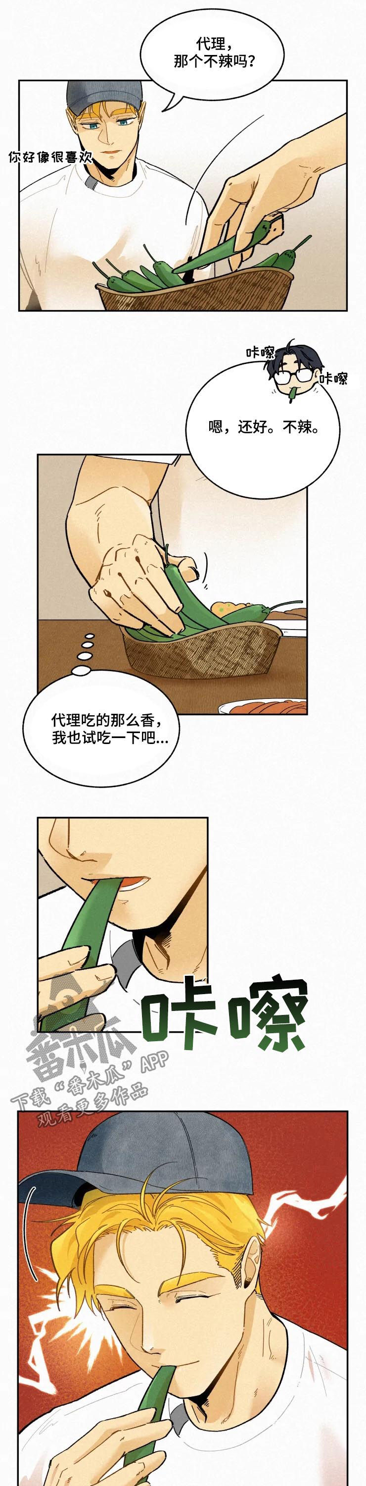 第48章：挂锁8