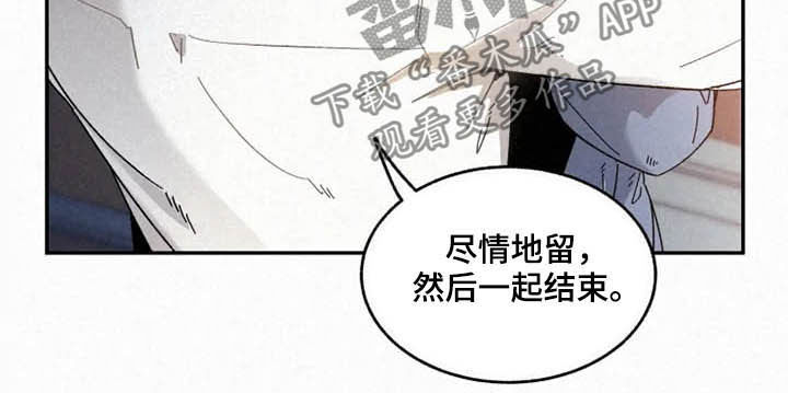 第95章：【番外】真诚16