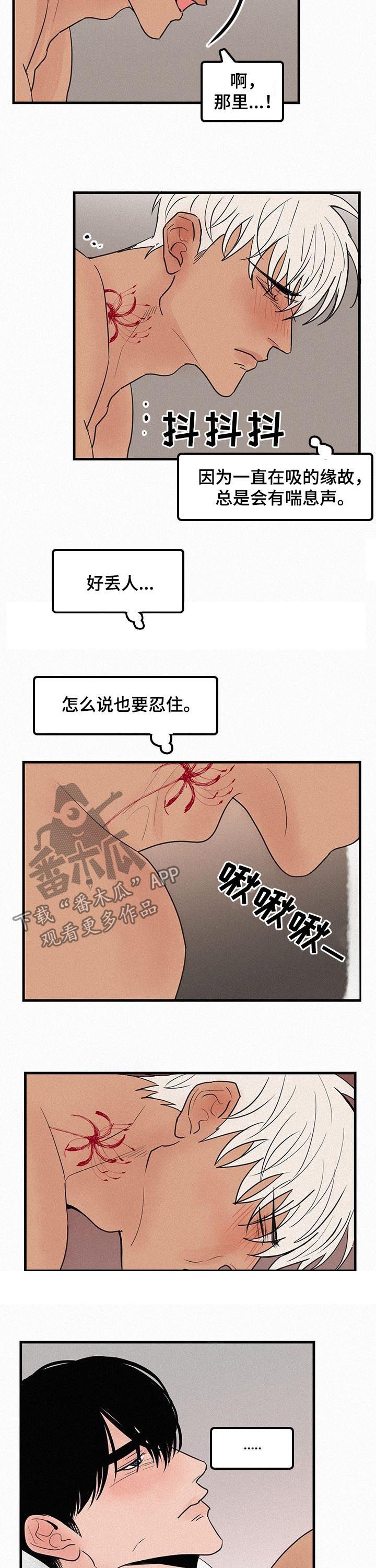 第70章：番外：差点疯掉1