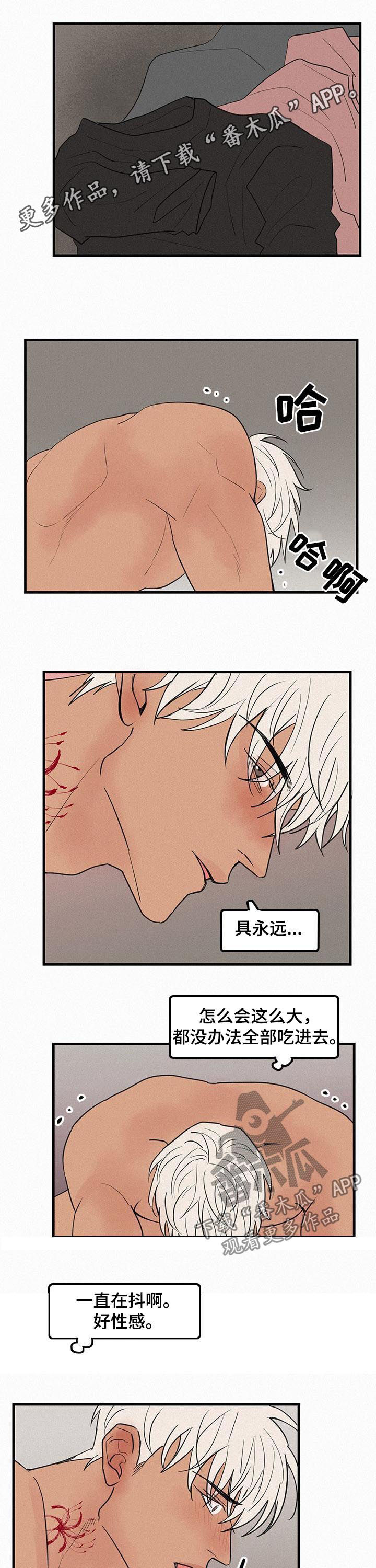 第70章：番外：差点疯掉0