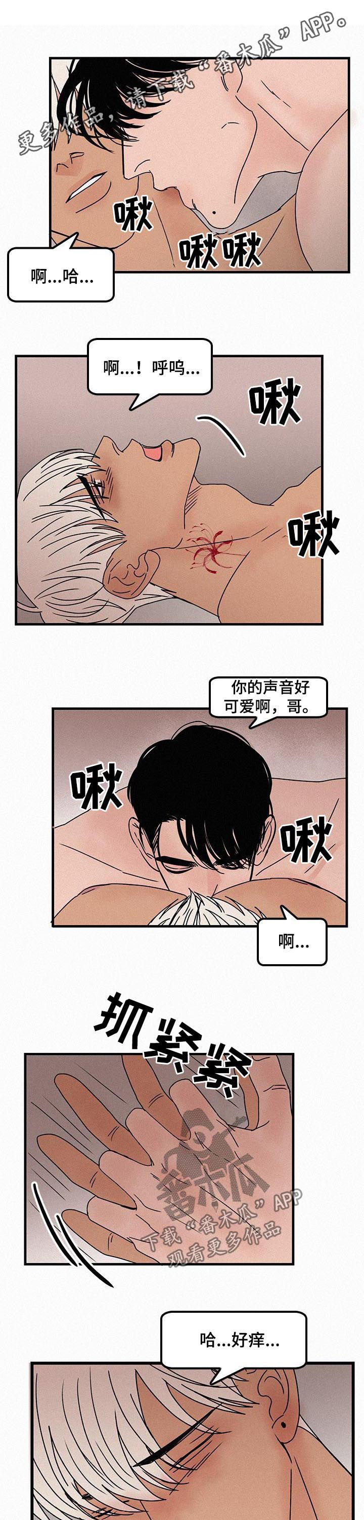 第57章：爱情是什么0