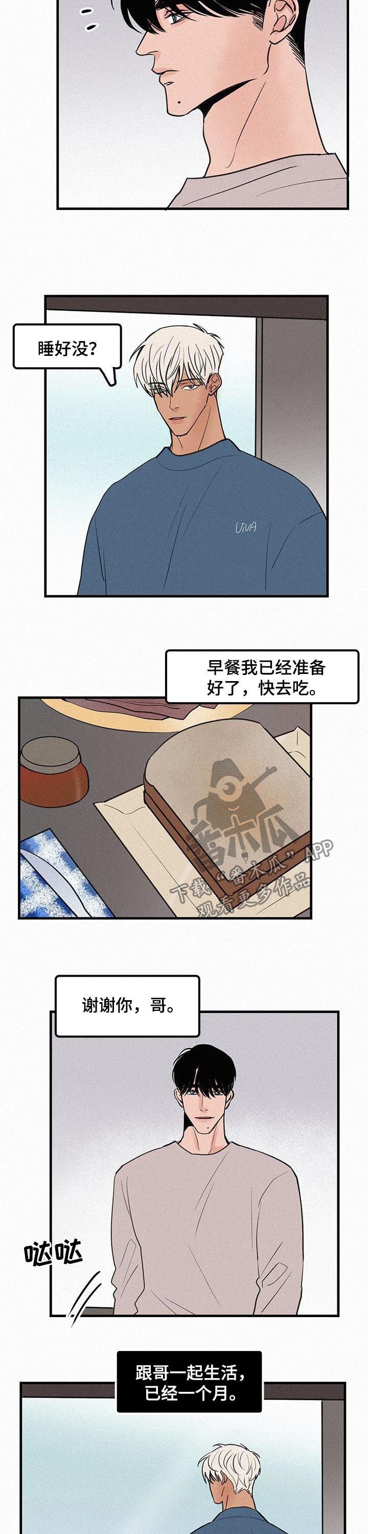 第71章：番外：怪让我嫉妒2