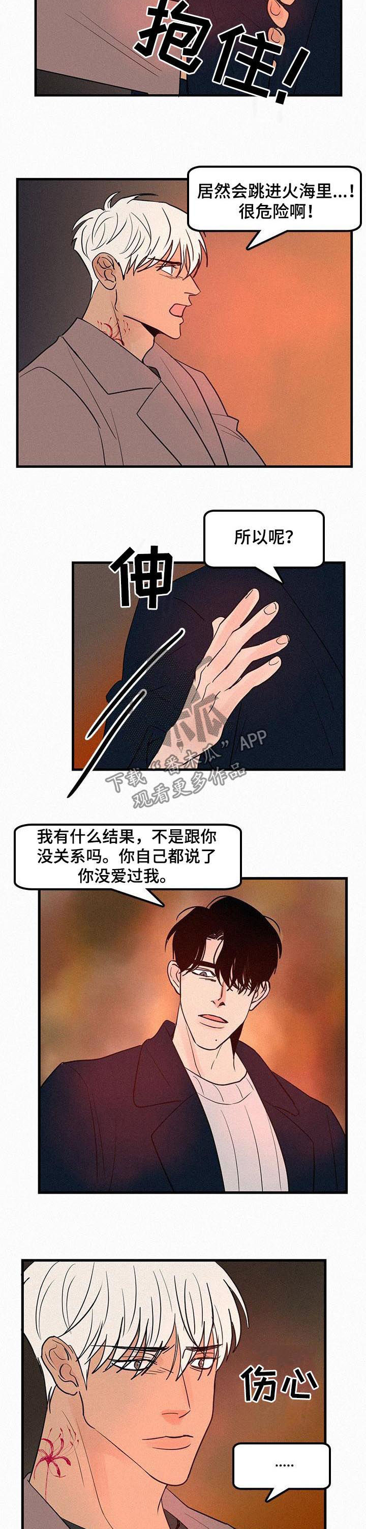 第65章：没爱过7