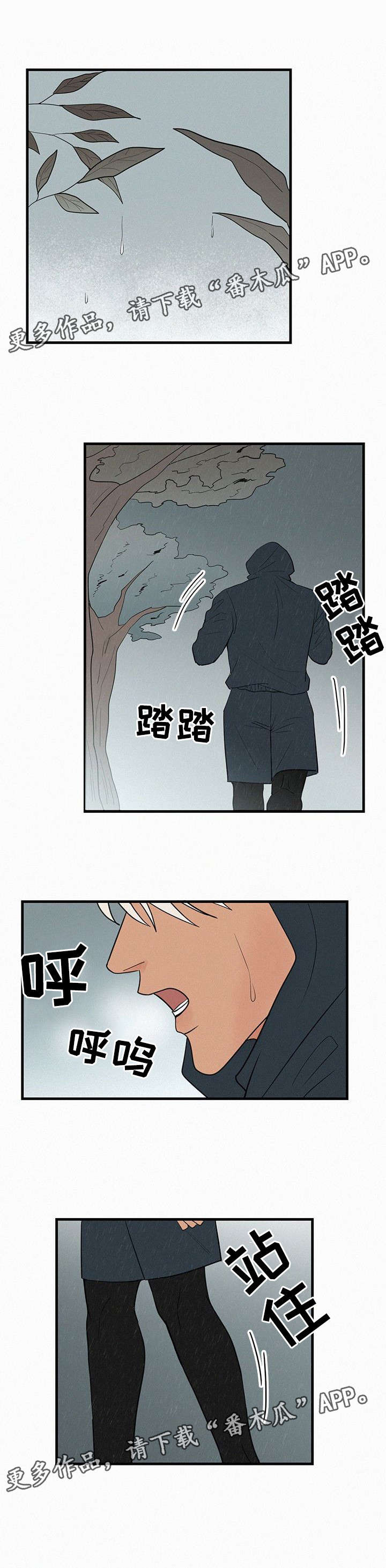 第31章：我爱你，学长4